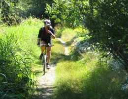 cyclist in Cowichan Valley