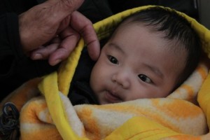 Tibetan baby at Seva eye camp